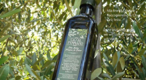  Casal Ferriano  Пьядже